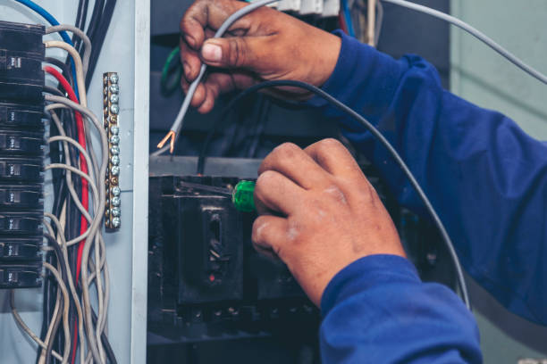 Best Home Electrical Repair  in Bronson, FL